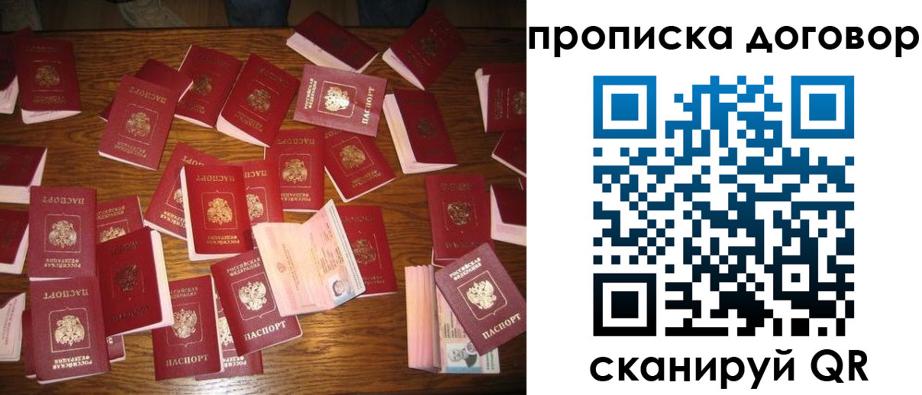 прописка для школы в Камышлове